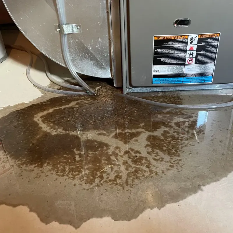 Pipe Burst and Leak Restoration in Kingston, NH